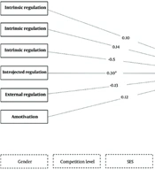 Cover image of the article: The Relationship Between Motivational Regulations and Intention to Continue Sport in Injured Athletes
