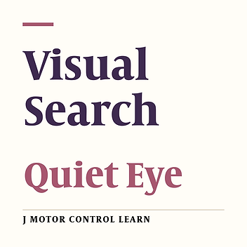 Visual Search: The Effect of Quiet Eye Training