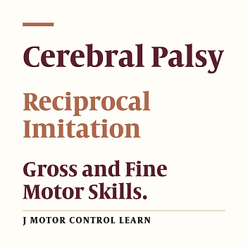 The Effect of Reciprocal Imitation Training on the Function of Upper Limbs and Motor Skills of Children with Cerebral Palsy