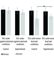 The Effect of Ten Weeks of Dual-Task Training on Functional Balance and Gait Speed Under Dual-Task Conditions in Bipolar Patients