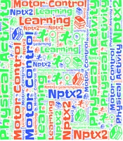 Effects of Physical Activity on NPTX2 (Neuronal Pentraxin 2): Mechanisms and Implications for Motor Control and Learning