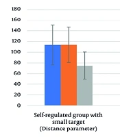 The Effect of Success Criteria on the Performance and Learning of the Dart-Throwing Skill in Female Students: A Metacognitive Study