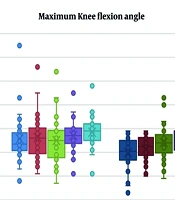 The Effect of Internal, External, and Holistic Attentional Focus Instructions Under Competitive and Non-competitive Conditions on Performance and Kinematics of Vertical Jump