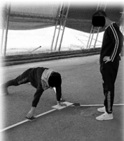 The Relationship Between Shoulder Pain and Disability and Functional Stability Indices in Competitive Male Gymnasts: A Cross-sectional Study