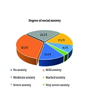 Perceived Stress Among Nurses in Public Hospitals of the Northern Region of Morocco and Its Correlation with Their Social Anxiety: A Cross-Sectional Study