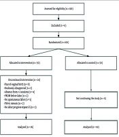 The Effect of a Multicomponent Prenatal Intervention on Maternal Satisfaction Following Vaginal Birth After Cesarean: A Randomized Controlled Trial