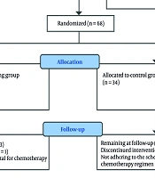 A Nurse-Led Narrative Intervention to Improve Psychological Resilience, Posttraumatic Growth, and Meaning in Life in Breast Cancer Patients Undergoing Chemotherapy: A Randomized Controlled Trial