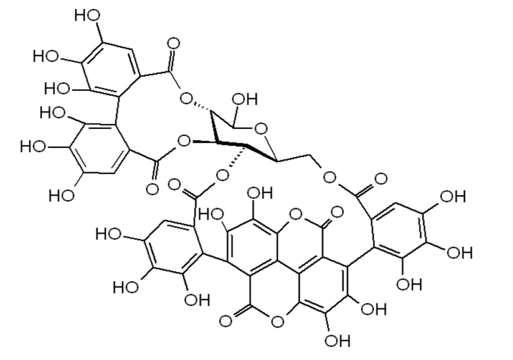 The chemical structure of Punicalagin The chemical structure of Punicalagin