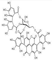 Assessment of Punicalagin Activity Against Influenza A Virus Proteins via In-silico Approaches