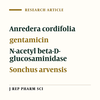 Anredera cordifolia (Ten.) Steenis and Sonchus arvensis L. Inhibit Gentamicin-induced Nephrotoxicity: The Role of Urinary N-acetyl Beta-D- glucosaminidase