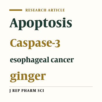 Apoptotic Effects of Ginger Extract (Zingiber officinale) on Esophageal Cancer Cells ESO26: An In Vitro Study