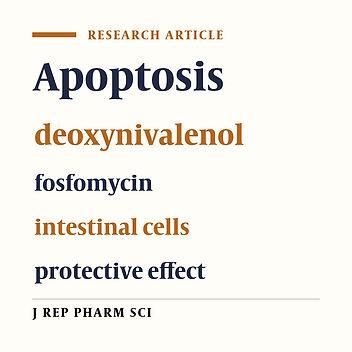Fosfomycin Protects Intestinal Cells from Nuclear Changes Suggestive of Deoxynivalenol-induced Apoptosis