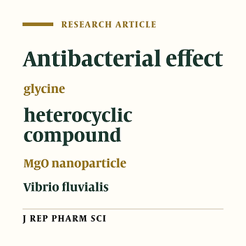 Comparative Antibacterial Activity of Synthetic N,S-Heterocyclic Derivatives, MgO Nanoparticles, and Glycine on Zoonotic Vibrio fluvialis