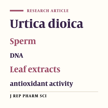 Characterization of the Urtica Dioica Leaf Extracts and Studies Its Effects on DNA and Sperm in Rats