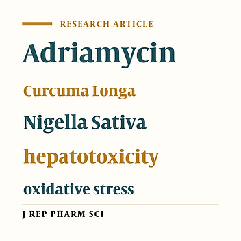 Hepatoprotective Effects of Combination Hydroalcoholic Extracts of Nigella Sativa and Curcuma Longa on Adriamycin- Induced Oxidative Stress in Rat