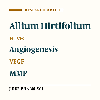 In vitro Anti-angiogenic Activity of Persian Shallot (Allium Hirtifolium) Extract Is Mediated Through Inhibition of Endothelial Cell Proliferation/Migration and Down-regulation of VEGF and MMP Expression
