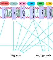 Neurotransmitter Inhibitors as Therapeutic Targets: Their Role in Growth, Migration, Angiogenesis, and Metastasis of Breast Cancer