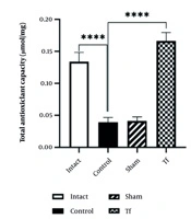 Therapeutic Effects of Fecal Microbiota Transplantation on Oxidative Stress Reduction and Gut Microbiota Modulation in Response to Electric Foot Shock Stress