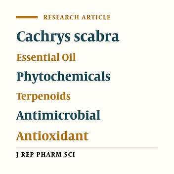Gas Chromatography Mass Spectrometry Analysis, Antioxidant and Antimicrobial Activities of Aerial Part Extracts of Cachrys scabra (Fenzl) Meikle