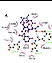 Natural Marine-derived Compounds as Potential Inhibitors of SARS-CoV-2 Main Protease: A Comprehensive Computational Study