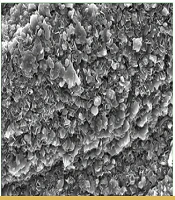 Chitosan-Gelatin Film Loaded with Cardamom Extract and Erythromycin for Antibacterial and Antioxidant Wound Healing Applications
