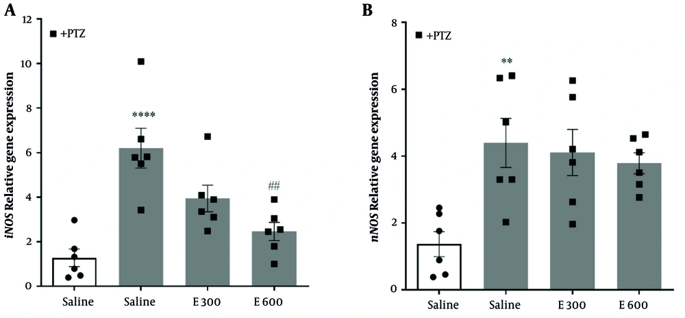 Downregulation of A, iNOS; and B, nNOS gene expression by eucalyptol. Data are presented as mean ± SEM and analyzed using one-way ANOVA with Tukey’s multiple comparison test. E: Eucalyptol at various doses. ** P < 0.01, **** P < 0.0001 versus saline-treated control group; ## P < 0.01 versus saline-treated pentylenetetrazol (PTZ) group. Downregulation of A, iNOS; and B, nNOS gene expression by eucalyptol. Data are presented as mean ± SEM and analyzed using one-way ANOVA with Tukey’s multiple comparison test. E: Eucalyptol at various doses. ** P < 0.01, **** P < 0.0001 versus saline-treated control group; ## P < 0.01 versus saline-treated pentylenetetrazol (PTZ) group.
