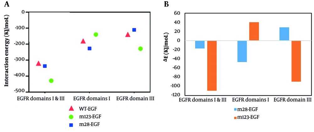 Interaction energy analysis of epidermal growth factor (EGF)-EGFR complexes. A, interaction energies between wild-type and mutant EGFs with EGFR domains I and III calculated using Discovery Studio; B, differences in interaction energies between mutants (m28-EGF, m123-EGF) and wild-type were compared for domains I, III, and combined regions. Interaction energy analysis of epidermal growth factor (EGF)-EGFR complexes. A, interaction energies between wild-type and mutant EGFs with EGFR domains I and III calculated using Discovery Studio; B, differences in interaction energies between mutants (m28-EGF, m123-EGF) and wild-type were compared for domains I, III, and combined regions.