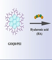 Fabrication and Characterization of an Engineered Graphene Oxide Quantum Dot-Polyethyleneimine-Hyaluronic Acid Nanocarrier: A Safe and Potentially Targetable Platform for Future Gene Therapy