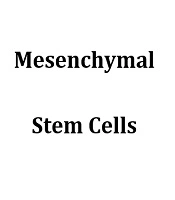 Mesenchymal Stem Cells and Their Derived Conditioned Media as Crucial Cell Candidates for Wound Healing: A Letter