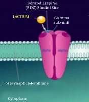 Cover image of the article: Lactium: A Novel Drug for Psychocutaneous Skin Disorders