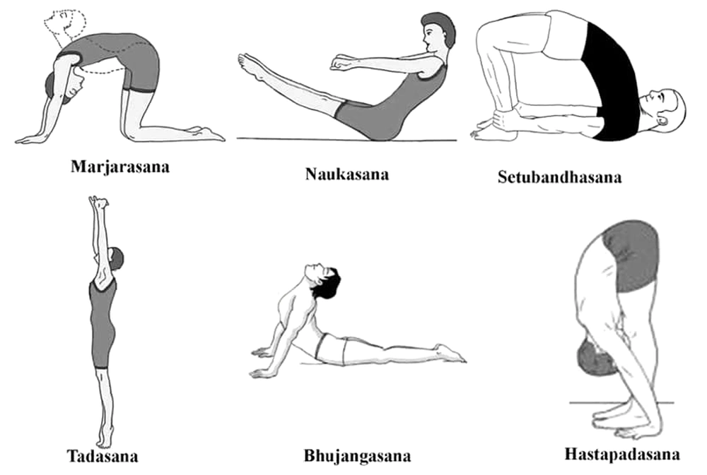 Schematic diagram of various asanas for hair transplant surgeons (<a href="#A122771REF4">4</a>). Schematic diagram of various asanas for hair transplant surgeons (<a href="#A122771REF4">4</a>).