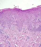 J Skin Stem Cell