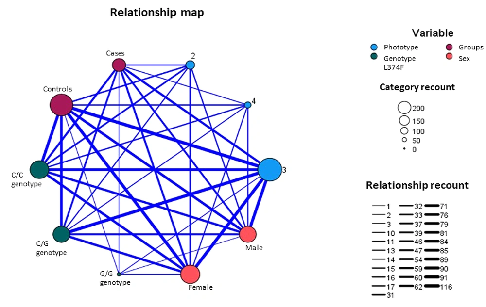 The relationship diagram between phototype, sex, groups, and p.Phe374Leu. Category recount circle’s sizes represent the rounded value for members of each category. The relationship recount line’s thicknesses represent the rounded value for the member of a category that is related to another one. Blue circles represent the phototype variable. Red circles represent groups (cases and controls). Peach circles represent sex (male and female). Green circles represent the genotype for the rs16891982 variant. The relationship diagram between phototype, sex, groups, and p.Phe374Leu. Category recount circle’s sizes represent the rounded value for members of each category. The relationship recount line’s thicknesses represent the rounded value for the member of a category that is related to another one. Blue circles represent the phototype variable. Red circles represent groups (cases and controls). Peach circles represent sex (male and female). Green circles represent the genotype for the rs16891982 variant.