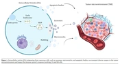 Cover image of the article: Extracellular Vesicles (EVs) as a New Treatment for Melanoma