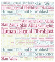Cover image of the article: Exploring the Evolution of Senotherapeutics Across Generations: A New Era in Human Dermal Fibroblast Senotherapy