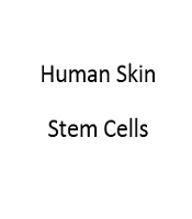 Protocol for Collection, Culture, and Characterization of Human Skin Stem Cells