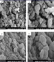 Fabrication and Characterization of Fibrin/Bioactive Glass Nanoparticles Composite for Bone Tissue Engineering