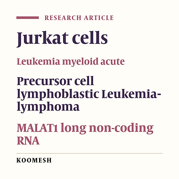 Evaluation of MALAT1 gene expression in AML and ALL cell lines