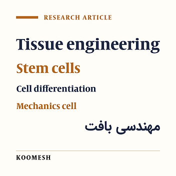 Substrate stiffness effect on mechanical behavior of mesenchymal stem cells during differentiation to smooth muscle cells