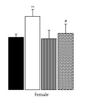 Cover image of the article: The Effect of Environmental Enrichment on Pregnant Adult Rats in Improving Stress-Induced Cognitive and Behavioral Disorders in Adolescent Offspring