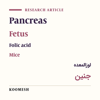 Effect of folic acid overdose on the histomorphometric indices of pancreatic tissue in NMRI mice embryo