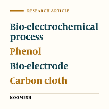 Performance of bioelectrochemical process using steel wool and carbon cloth electrodes to remove phenol in the aquatic environment