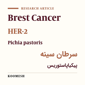 Expression and characterization of recombinant human epidermal growth factor receptor antigene (HER-2) as an indicator of breast cancer in yeast fermented systems