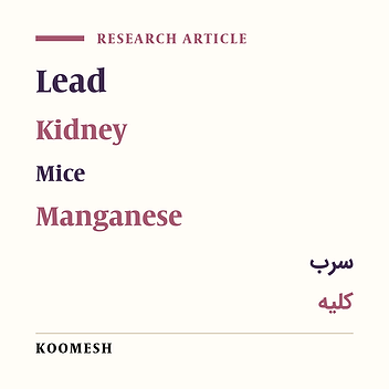 Effects of different doses of manganese on lead poisoning in the kidney of adult male mice