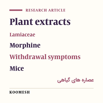 Morphine withdrawal symptoms improvement by Ziziphora tenuior L. ethanoic extract  in male mice