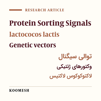 Construction of pFUM003 expression vector with extracellular secretion properties
