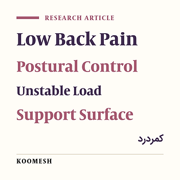 Effects of load and unstable support surface on postural control in patients with chronic low back pain