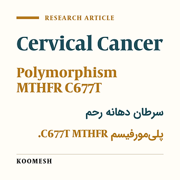 The association between methylenetetrahydrofolate reductase C677T polymorphism and cervical cancer