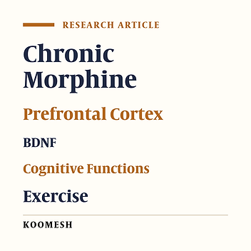 Effects of different intensities levels of treadmill exercise on cognitive functions and BDNF levels in prefrontal cortex of morphine dependent rats