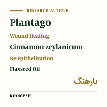 Histopathological comparison of the effects of Ceylon cinnamon, Plantagolanceolata and Flaxseed linum on experimental cutaneous wound healing process in rats